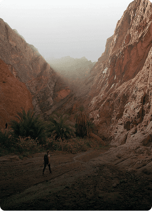 Tourism & Experience Providers